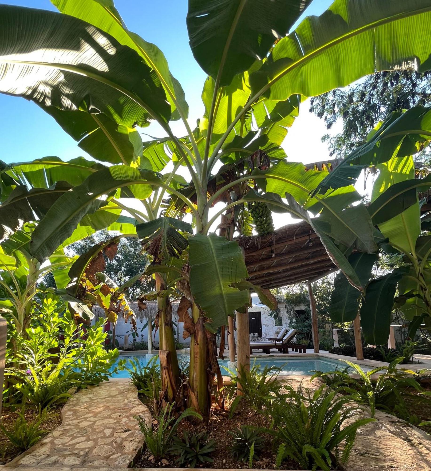 Villas Tikuch Buitenkant foto